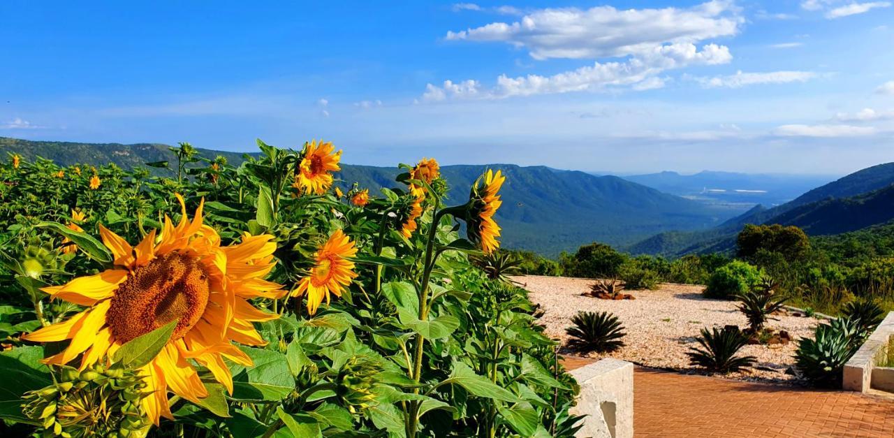 Graceland Eco Retreat Магубасклоф Экстерьер фото