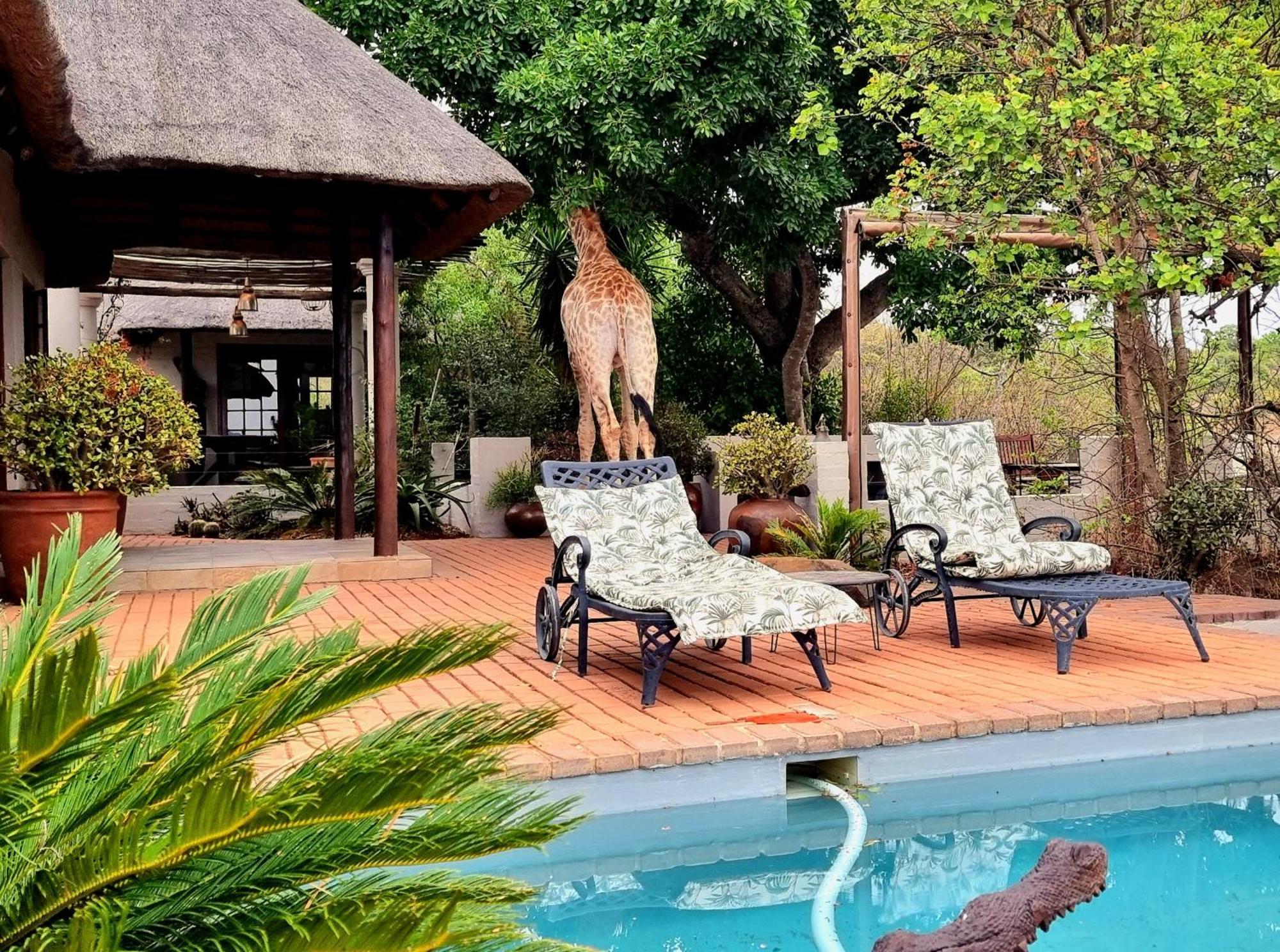 Graceland Eco Retreat Магубасклоф Экстерьер фото